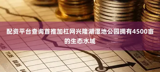 配资平台查询首推加杠网兴隆湖湿地公园拥有4500亩的生态水域