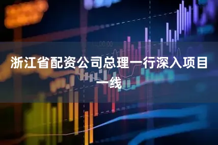 浙江省配资公司总理一行深入项目一线