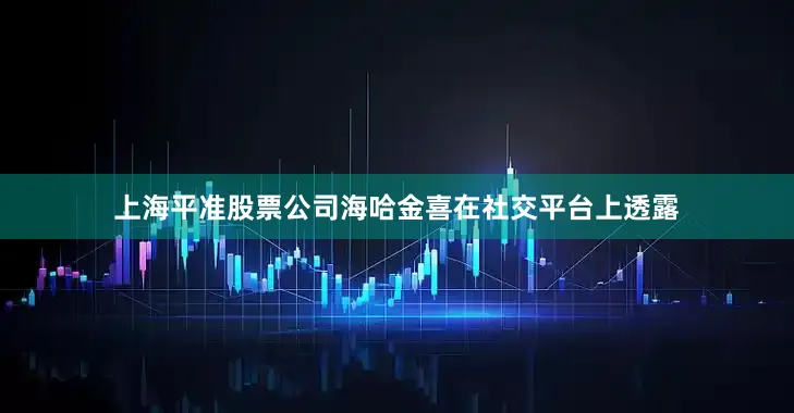 上海平准股票公司海哈金喜在社交平台上透露